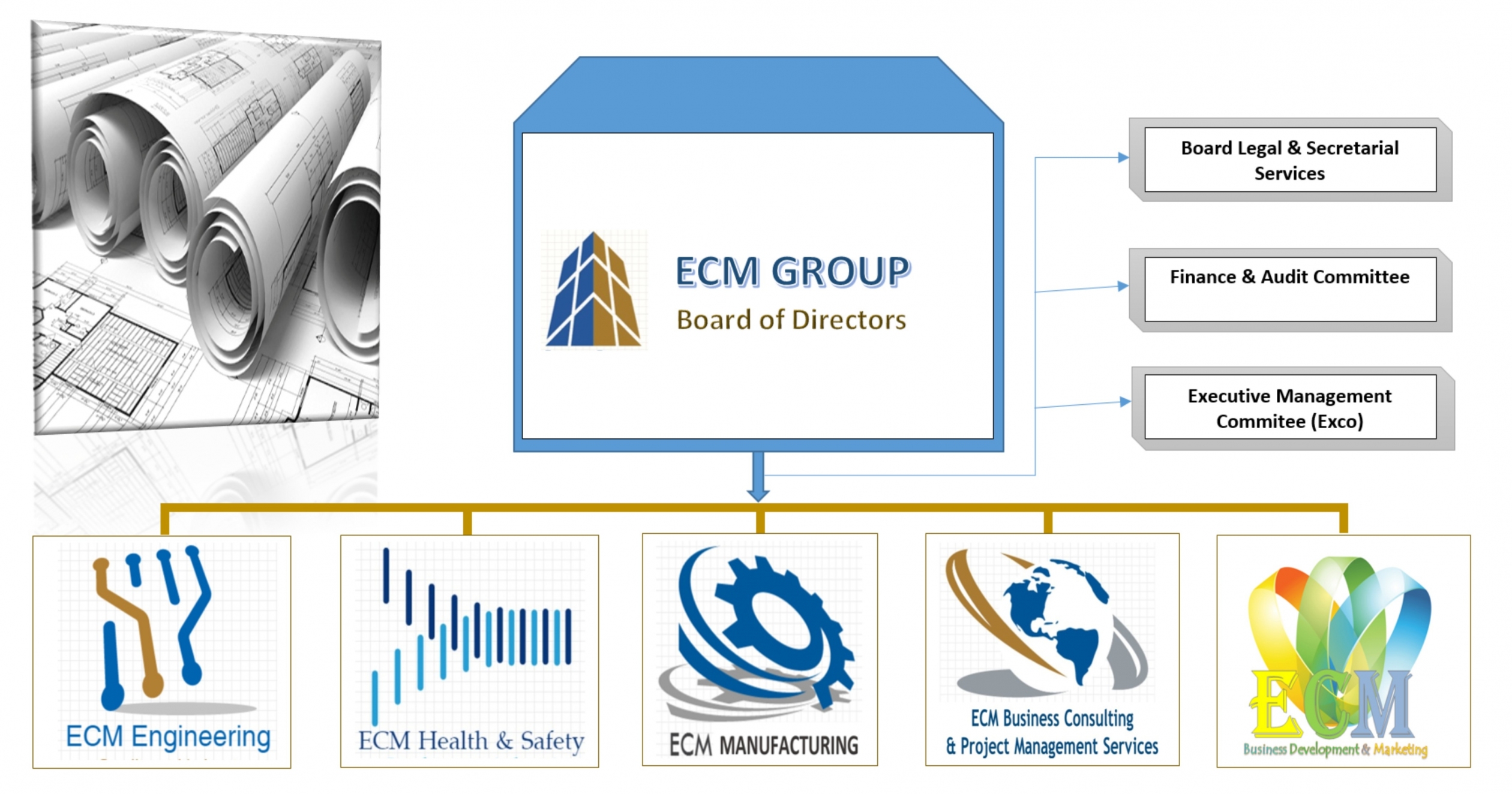 ECM Organisational Structure